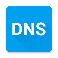 Pure DNS（智能解析）