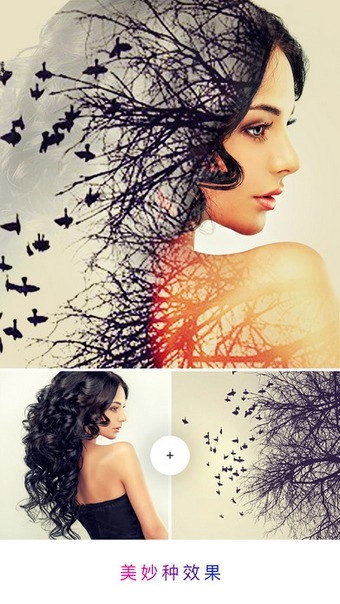 photo lab手机版图3