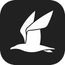 讯飞文档手机版