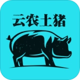 云农土猪