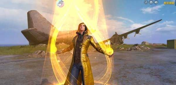 吃鸡美化包免费版图1