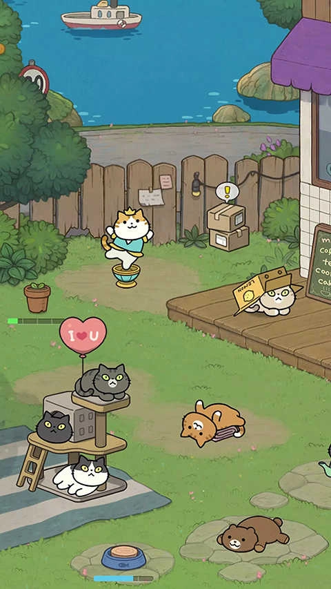 神秘猫咪字典图4