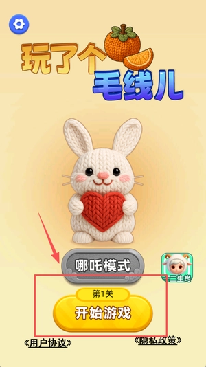 玩了个毛线儿(1)