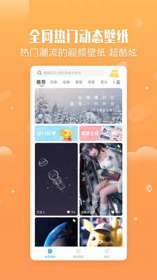 小鸟壁纸手机版