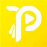 右手视频手机版