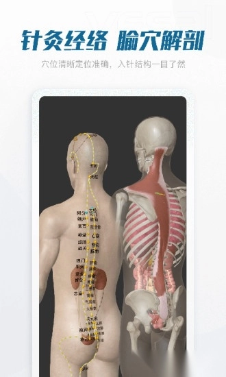 解剖大师最新版图1