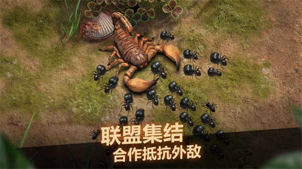 小小蚁国安卓版(1)