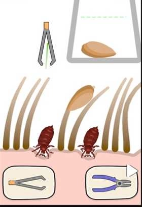 卡皮巴拉人生-截圖2