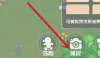 宠物胶片选择使用界面