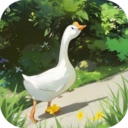 这城有良田免费版