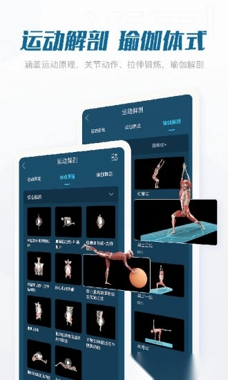 解剖大师最新版图2