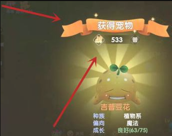 精灵捕捉成功提示界面