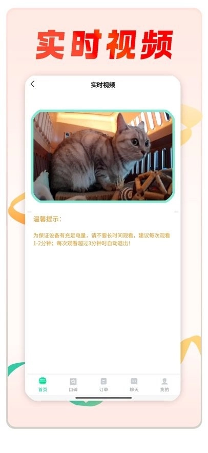 宠贝贝宠物托运平台图1