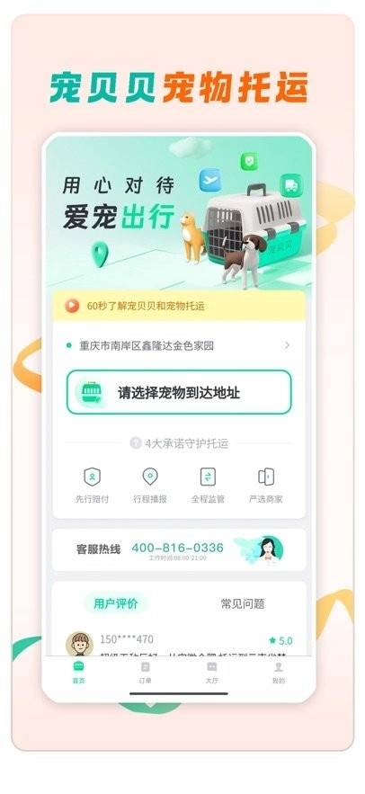 宠贝贝宠物托运平台图3
