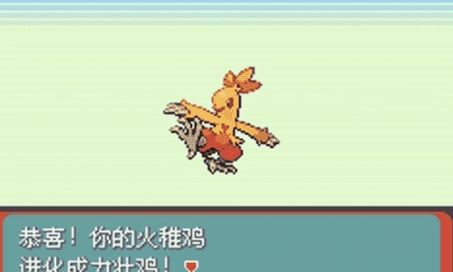 口袋妖怪绿宝石安卓版图3