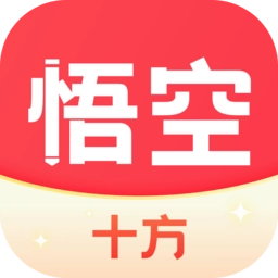 十方悟空写作