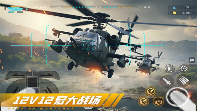 巅峰坦克最新版(4)