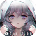 灵魂潮汐国际服中文版