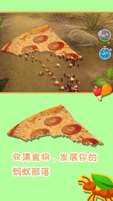 蚂蚁模拟器