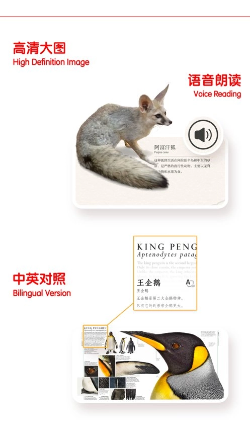 千奇百科岛手机版图1