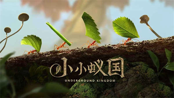 小小蚁国安卓版(3)