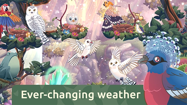 鸟类世界最新版图3