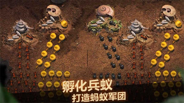 小小蚁国安卓版(4)