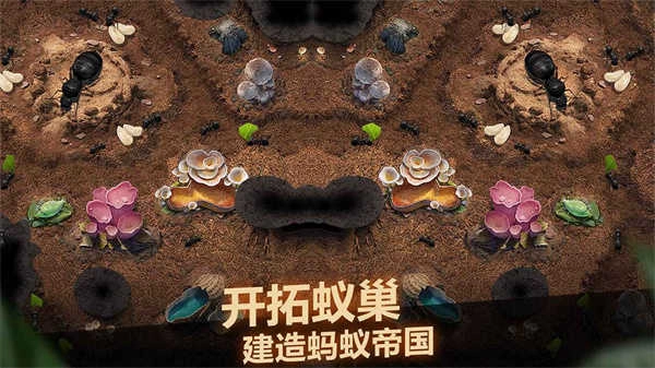 小小蚁国安卓版(5)