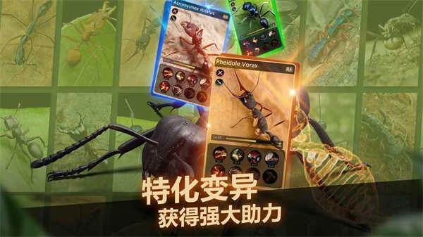 小小蚁国安卓版(2)