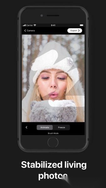 2026Loopsie软件(3)