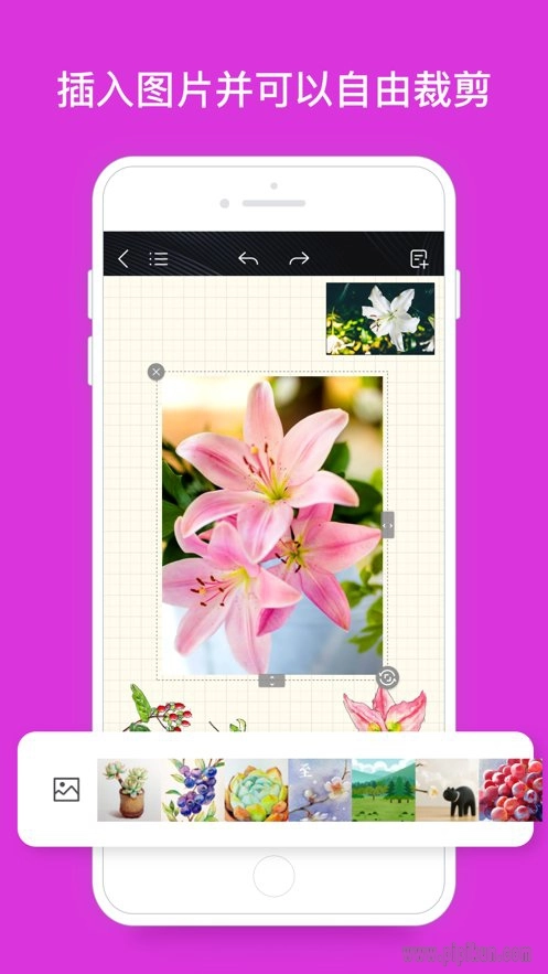 千本笔记软件图2