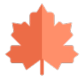 枫叶音乐盒 v1.0.1.250430