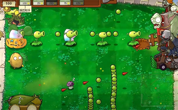 植物大战僵尸吃不了席版图4
