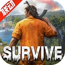 荒野迷城国际服