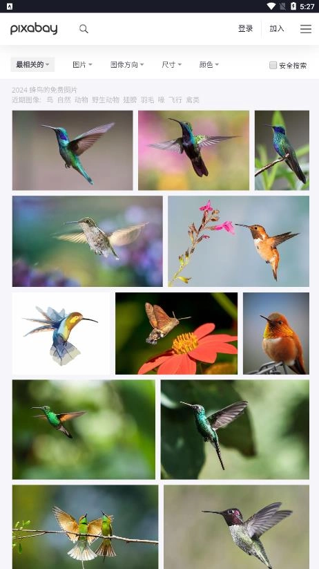 pixabay截圖0