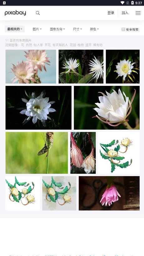pixabay截圖1