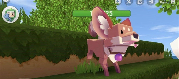 迷你世界联机版(5)