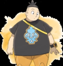 口袋妖怪xy中文版(9)