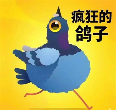 疯狂鸽子皮肤的获取方式详解