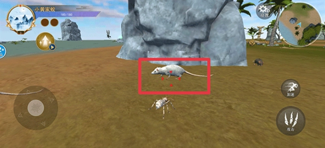 蜘蛛模拟生存中文版