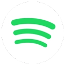 spotify lite