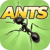 蚂蚁帝国手机版