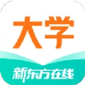新东方大学考试