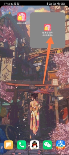 鲸鱼小组件软件截图0