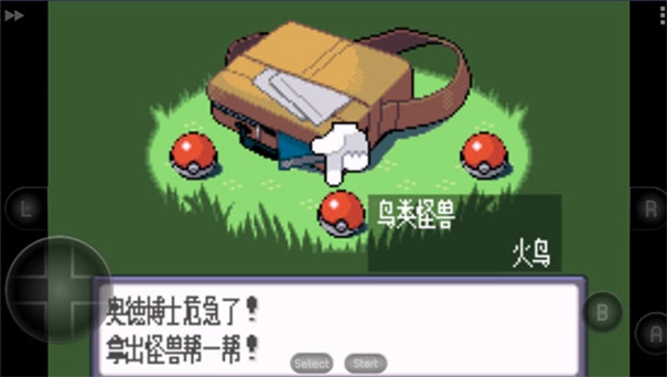 口袋妖怪蓝宝石中文版(1)