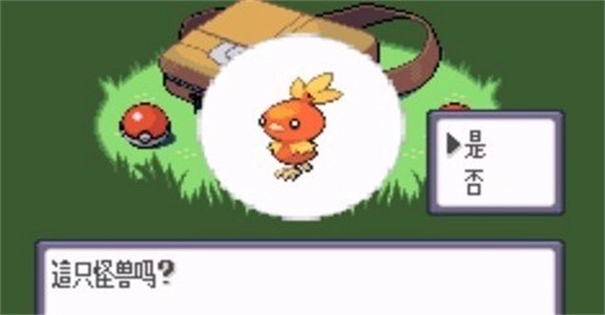 口袋妖怪蓝宝石中文版(6)