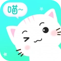 猫咪对话翻译器
