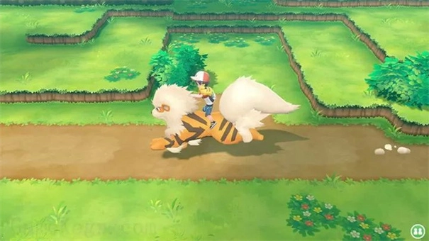 精灵宝可梦LetsGo皮卡丘手机版(4)