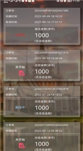 小兰翻译安卓版