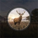 狩猎狙击手中文手机版